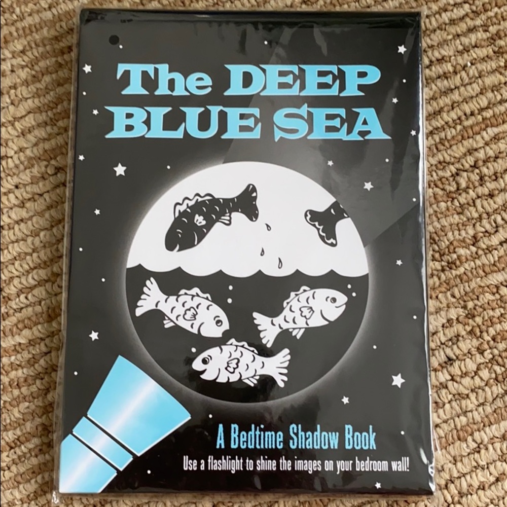 Bedtime Shadow Book